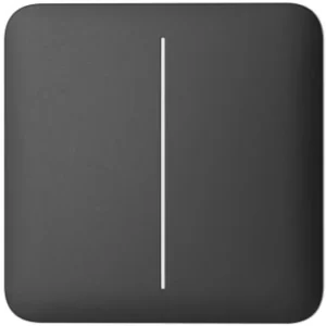 CenterButton (2-gang)